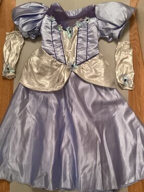 Rubie’s Princess Costume (Infant sz.)